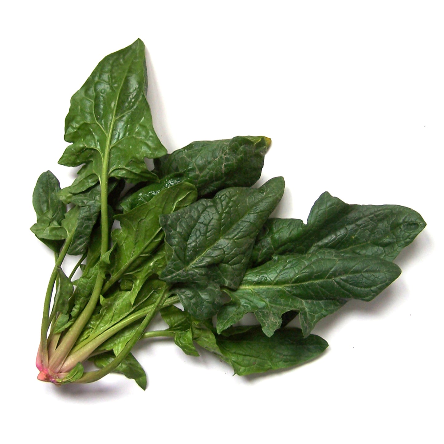 Espinaca Granel 500 g