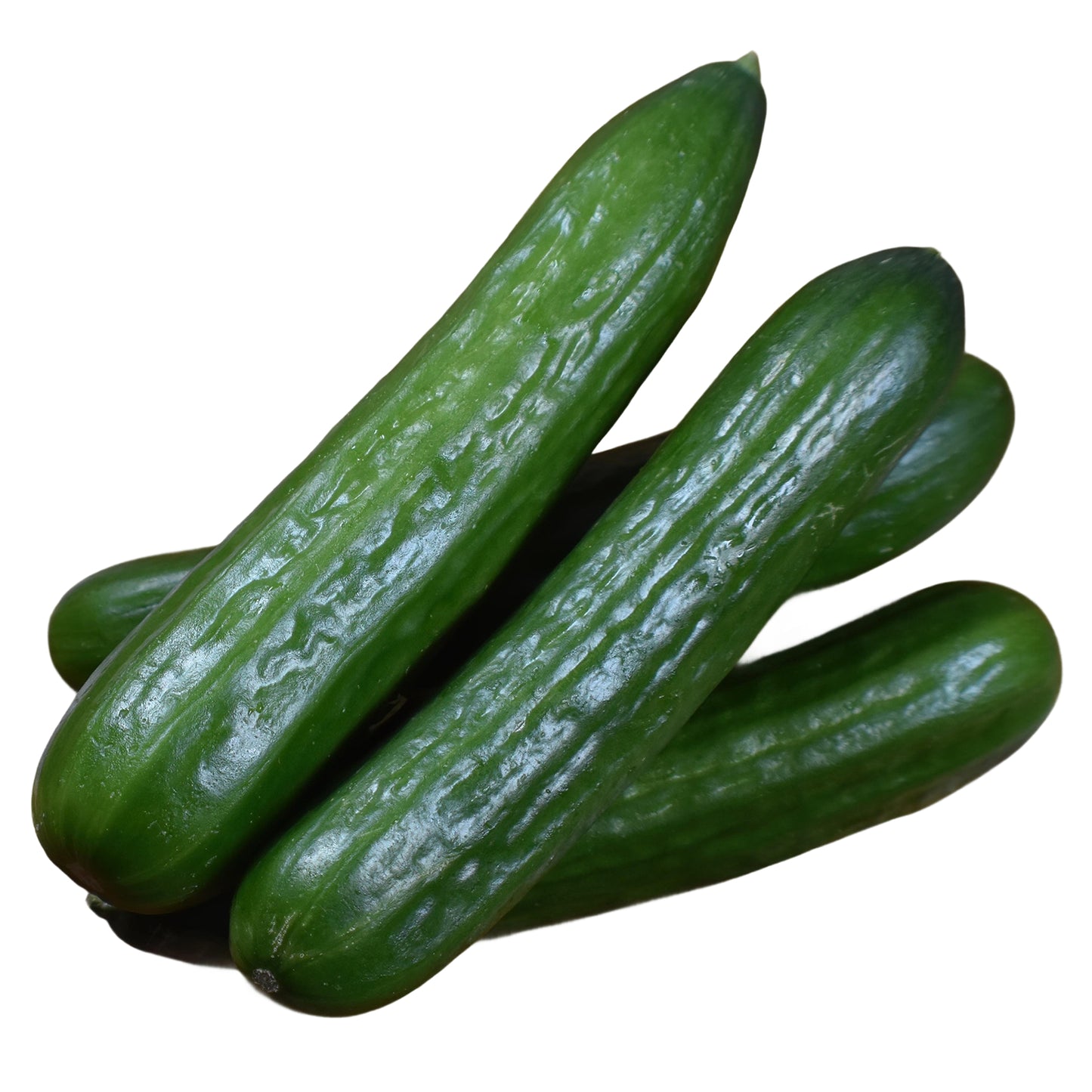 Pepino Alaska Unidad