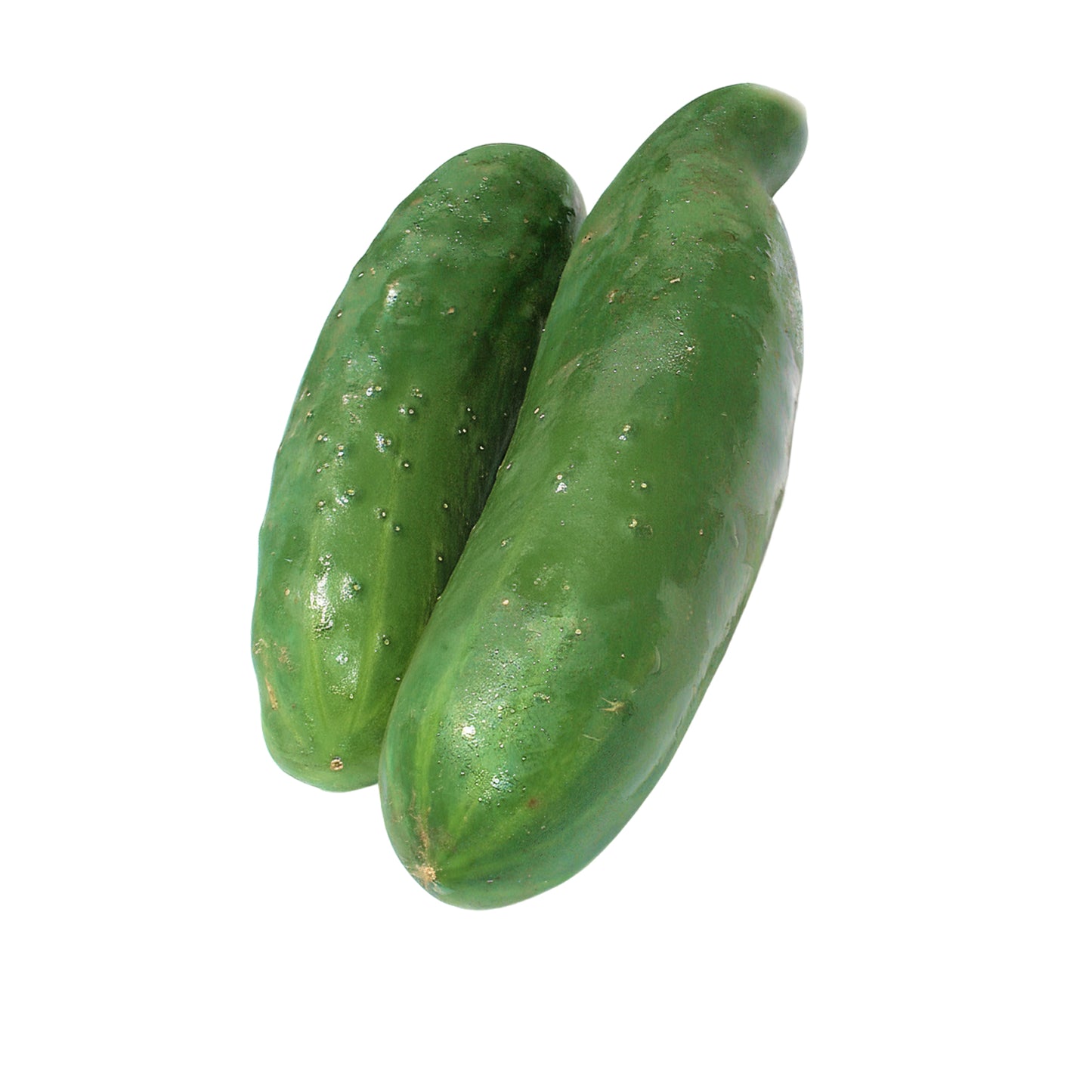 Pepino Ensalada Unidad