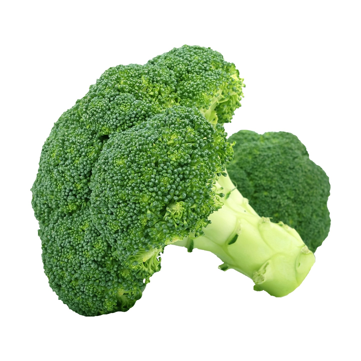 Brocoli Unidad