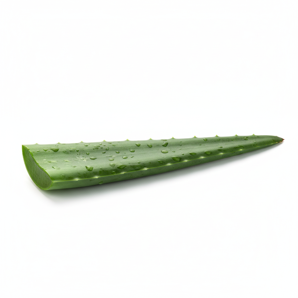 Aloe Vera Fresco Unidad