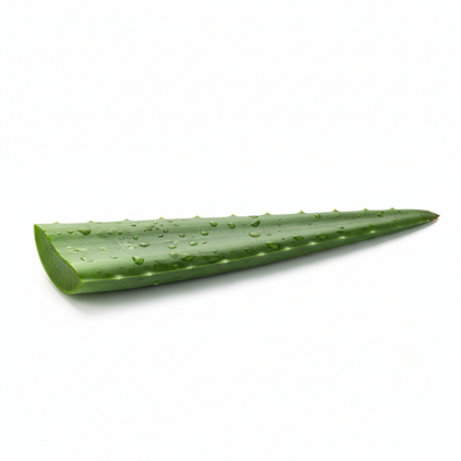 Aloe Vera Fresco Unidad