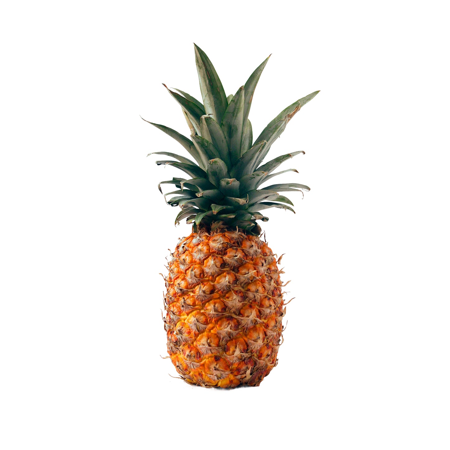 Piña Unidad